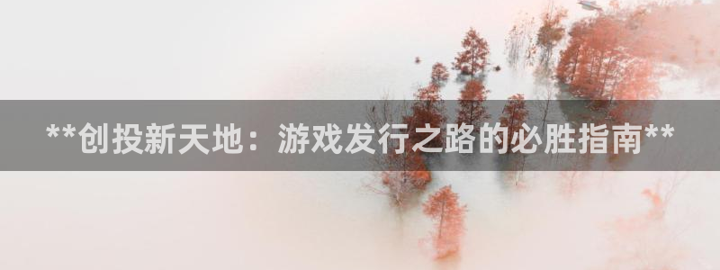 门徒平台注册登陆：**创投新天地：游戏发行之路的必胜指南**