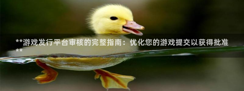 门徒娱乐下载手机版安装：**游戏发行平台审核的完整指南：优化您的游戏提交以获得批准
**