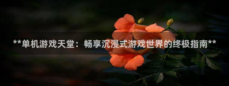 门徒娱乐总代理