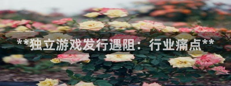 门徒娱乐成功案例有哪些：**独立游戏发行遇阻：行业痛点**
