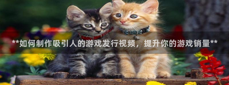 门徒娱乐成功案例有哪些：**如何制作吸引人的游戏发行视频，提升你的游戏销量**