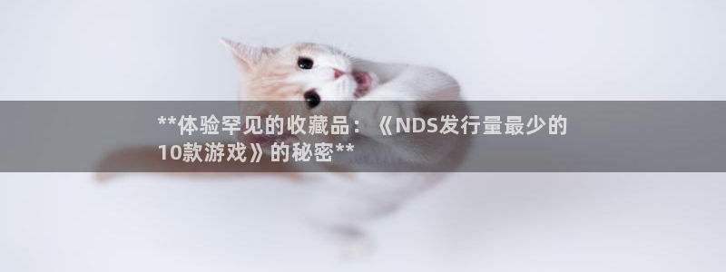 门徒娱乐负责人：**体验罕见的收藏品：《NDS发行量最少的
10款游戏》的秘密**