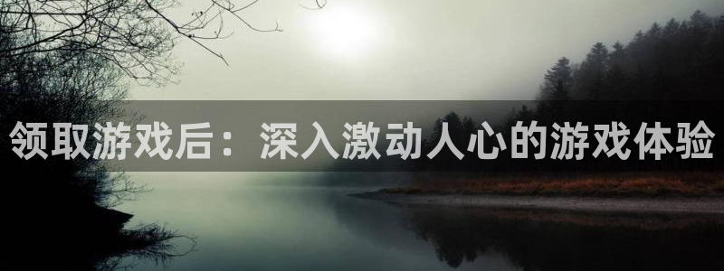 门徒平台登录注册失败：领取游戏后：深入激动人心的游戏体验