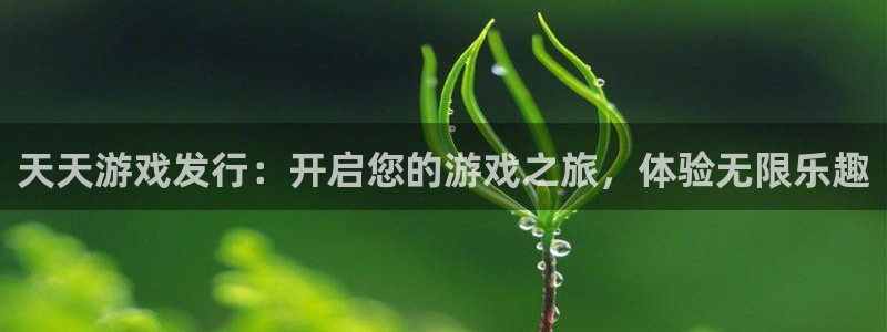 门徒娱乐注册登录地址怎么填：天天游戏发行：开启您的游戏之旅，体验无限乐趣