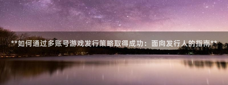 门徒娱乐怎么注册公司：**如何通过多账号游戏发行策略取得成功：面向发行人的指南**