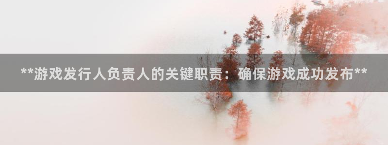 门徒娱乐集团：**游戏发行人负责人的关键职责：确保游戏成功发布**