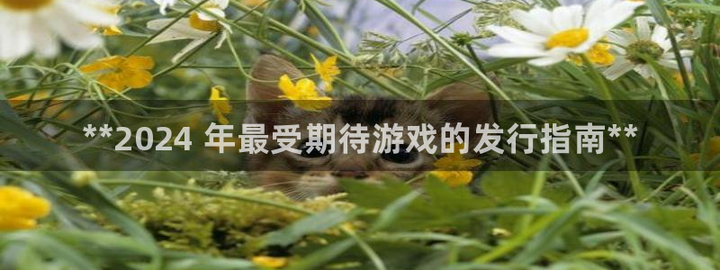 娱乐门徒txt：**2024 年最受期待游戏的发行指南**