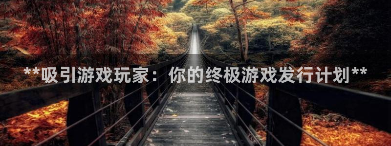 门徒平台登录地址：**吸引游戏玩家：你的终极游戏发行计划**