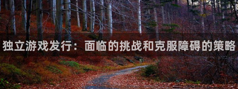 门徒平台注册中心在哪里：独立游戏发行：面临的挑战和克服障碍的策略