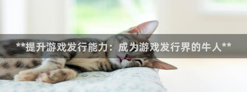 门徒平台注册登陆：**提升游戏发行能力：成为游戏发行界的牛人**