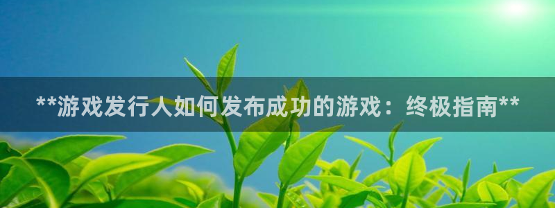 门徒娱乐下载手机版：**游戏发行人如何发布成功的游戏：终极指南**