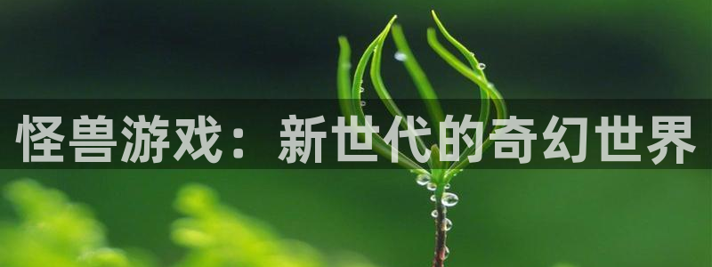 门徒娱乐是做什么的