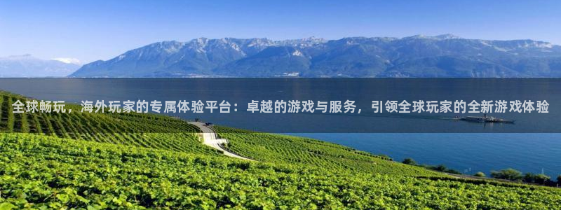 门徒平台定制 411O31 门徒