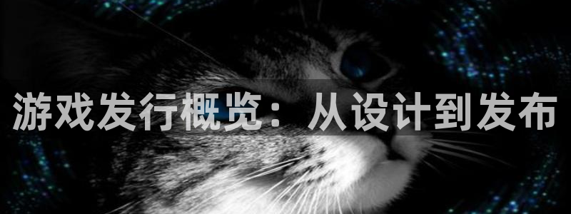 门徒娱乐成功案例分享：游戏发行概览：从设计到发布