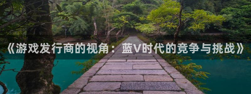 门徒平台开户要求：《游戏发行商的视角：蓝V时代的竞争与挑战》