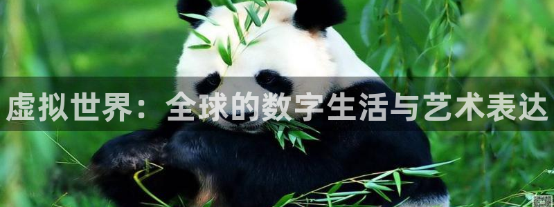 门徒平台途 411031 门徒：虚拟世界：全球的数字生活与艺术表达