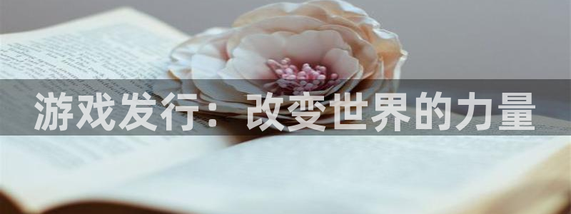 门徒平台定制 411O31 门徒：游戏发行：改变世界的力量