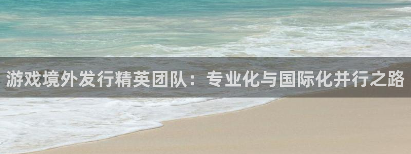 门徒平台设7O777：游戏境外发行精英团队：专业化与国际化并行之路