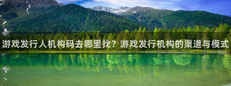 门徒娱乐app代理加盟多少钱：游戏发行人机构码去哪里找？游戏发行机构的渠道与模式