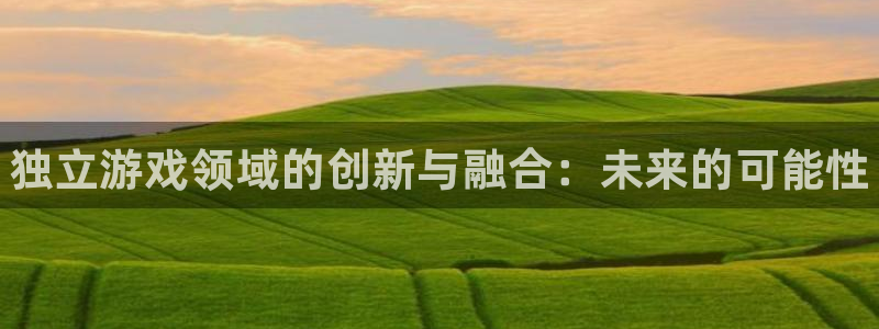 门徒娱乐成功案例有哪些：独立游戏领域的创新与融合：未来的可能性