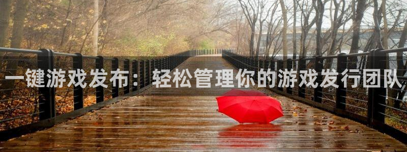 门徒平台注册中心电话：一键游戏发布：轻松管理你的游戏发行团队