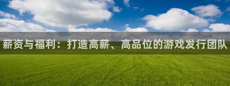门徒娱乐注册下载安装：薪资与福利：打造高薪、高品位的游戏发行团队