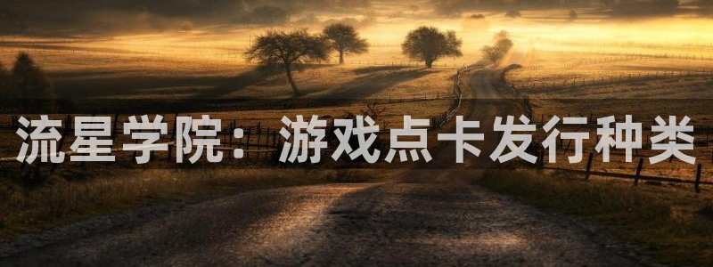 门徒平台定制 411O31 门徒：流星学院：游戏点卡发行种类