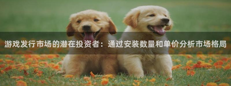 门徒平台注册登陆不上怎么回事