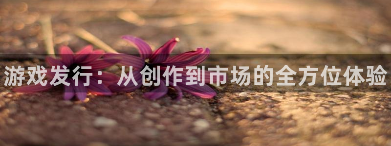 门徒平台官方网站：游戏发行：从创作到市场的全方位体验